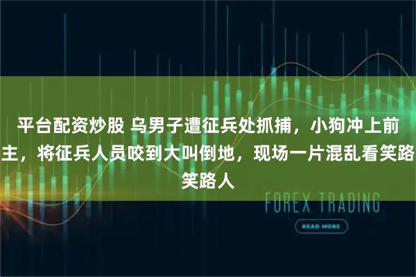 平台配资炒股 乌男子遭征兵处抓捕，小狗冲上前护主，将征兵人员咬到大叫倒地，现场一片混乱看笑路人